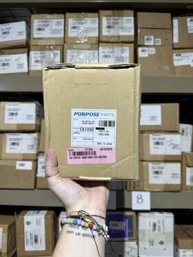 A.o. Smith 100074606 319143-443 Ek109 A.o. Fan Motor - Indoor