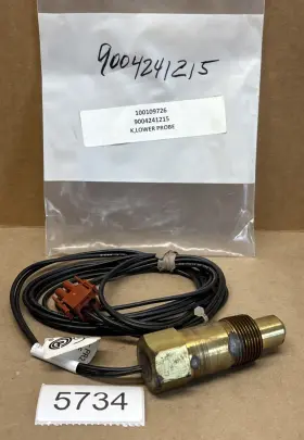 9004241215 A. O. Smith 100109726 A.o. Lower Temperature Probe