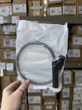 100340481 A.o. Smith Ignition Cable Bth Series 200