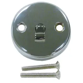 42-7133 Kissler Overflow Plate Assembly With Lever Brass