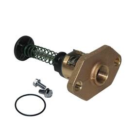 Raypak 018758f Ug/bypass Assy 105f 336-408-kit