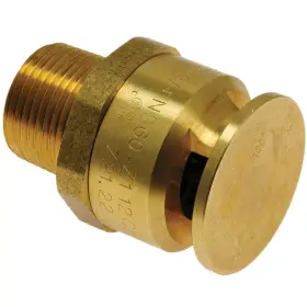 Rheem Protech 313040451467 Vacuum Relief Valve Marathon Water Heaters Negative Pressure Release Solid Brass