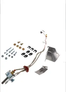 Sp20799 Rheem Pilot Assembly Oem