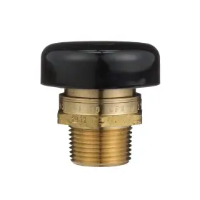 Lfn36-m1 Watts 556031 Water Service Low Profile Vacuum Relief Valve For And