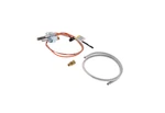 100093972 9007633005 6911129 A.o. Smith Pilot/thermopile W/tubing Natural New. Price: $123.00.