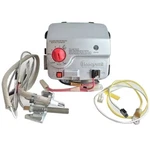 Bradford White 415-52915-01 Icon 2.0 Service Valve Kit URG1AND2 Natural New. Price: $443.11.