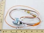 Ao Smith 9006201205 Kit Pilot Assy 100110984 New. Price: $119.20.