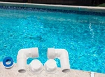 Fafco Cub Starter Kit For Above Ground Swimming Pool Solar Bear Panel New. Price: $42.95.